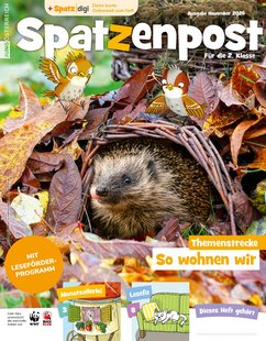 Magazin Cover