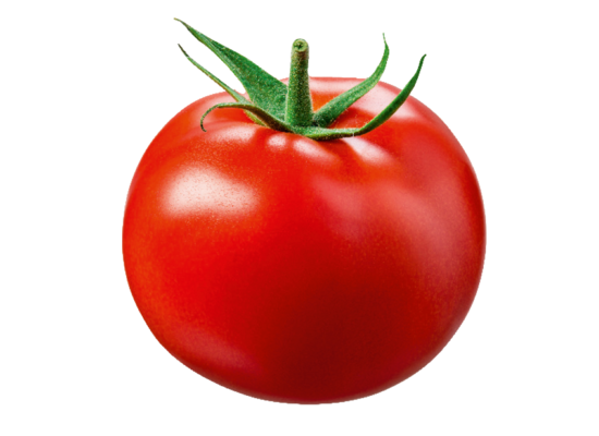 Infotext Tomate