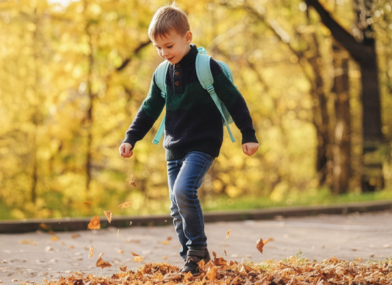 Blätter im Herbst