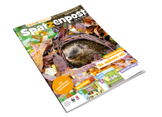 Novemberheft digital lesen